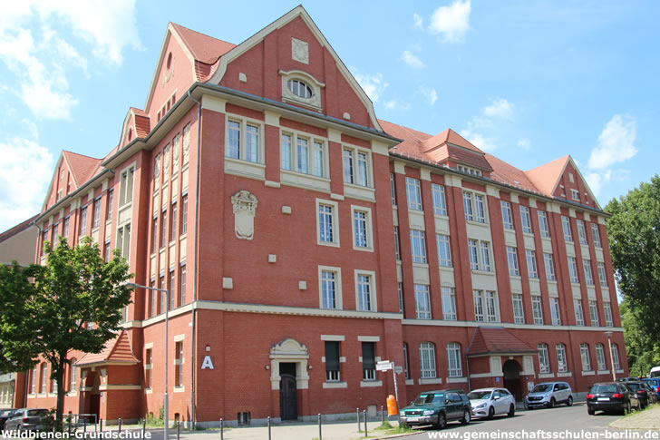 Wildbienen-Grundschule